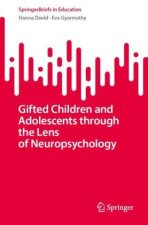 Gifted Children and Adolescents Through the Lens of Neuropsychology