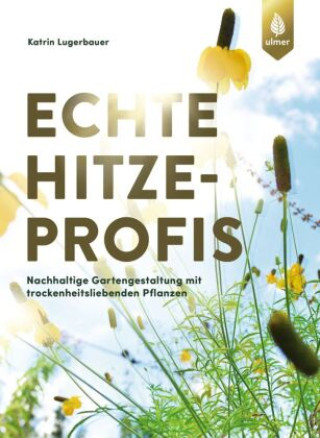 Echte Hitzeprofis