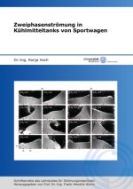 Zweiphasenströmung in Kühlmitteltanks von Sportwagen
