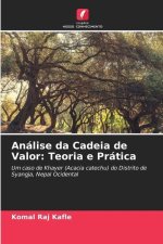 Análise da Cadeia de Valor: Teoria e Prática
