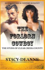 The Forlorn Cowboy