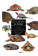 Tortues du monde