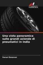 Una vista panoramica sulle grandi aziende di pneumatici in India