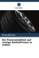 Ein Panoramablick auf riesige Reifenfirmen in Indien