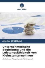 Unternehmerische Begleitung und die Leistungsfähigkeit von Kleinstunternehmen