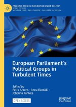 EUROPEAN PARLIAMENTS POLITICAL GROUPS IN