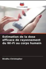 Estimation de la dose efficace de rayonnement du Wi-Fi au corps humain
