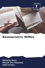 Bezopasnost' WiMax
