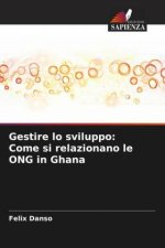 Gestire lo sviluppo: Come si relazionano le ONG in Ghana