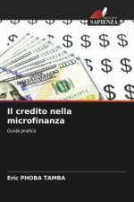 Il credito nella microfinanza