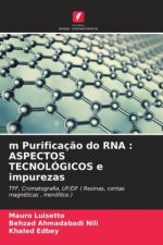 m Purificaç?o do RNA : ASPECTOS TECNOLÓGICOS e impurezas