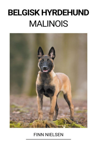 Belgisk Hyrdehund (Malinois)