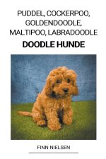 Puddel, Cockerpoo, Goldendoodle, Maltipoo, Labradoodle (Doodle Hunde)