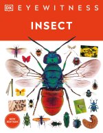 Insect