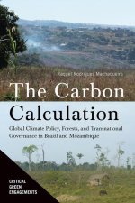Carbon Calculation: Global Climate Policy, Forests, and Transnational Governance in Brazil and Mozambique