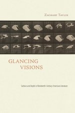 Glancing Visions: Surface and Depth in Nineteenth-Century American Literature