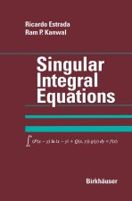 Singular Integral Equations