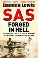 UNTITLED SAS AUTUMN DAMIEN LEWIS 2