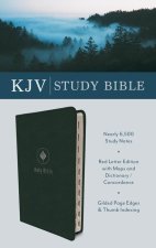 The KJV Study Bible, Indexed (Evergreen Fog)