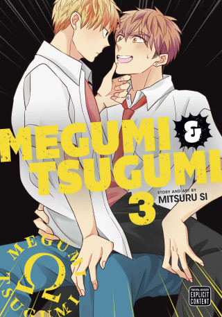 Megumi & Tsugumi, Vol. 3 (Puha kötésű)