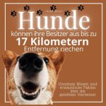 Hunde können ihre Besitzer aus bis zu 17 Kilometern Entfernung riechen