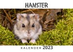 Hamster