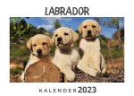 Labrador