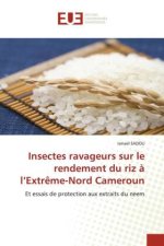 Insectes ravageurs sur le rendement du riz ? l?Extr?me-Nord Cameroun