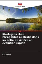 Stratégies chez Phragmites australis dans un delta de rivi?re en évolution rapide