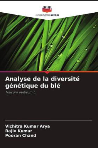 Analyse de la diversité génétique du blé