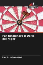 Far funzionare il Delta del Niger
