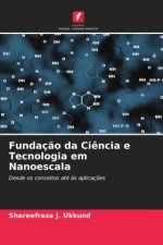 Fundaç?o da Ci?ncia e Tecnologia em Nanoescala