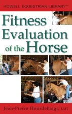 Fitness Evaluation of the Horse