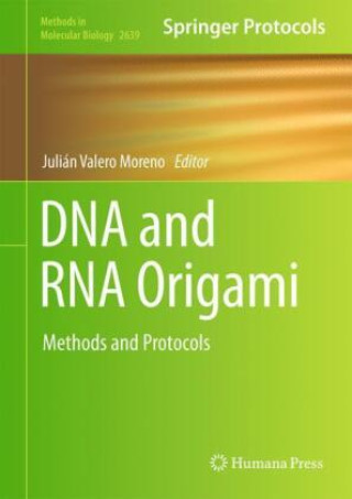 DNA and RNA Origami