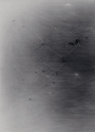 Shadowgrams