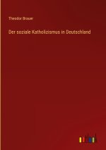 Der soziale Katholizismus in Deutschland