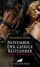 November - Der gierige Reitlehrer | Erotische Urlaubsgeschichte + 2 weitere Geschichten