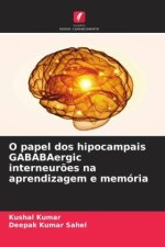 O papel dos hipocampais GABABAergic interneur?es na aprendizagem e memória