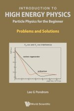 Introduction to High Energy Physics: Particle Physics for the Beginner - Problems and Solutions