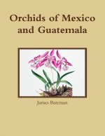 Orchids of Mexico and Guatemala
