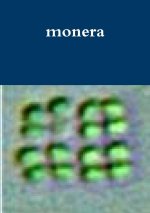 monera