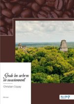 Seuls les arbres se souviennent