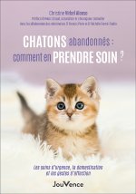 Chatons abandonnés : comment les sauver ?