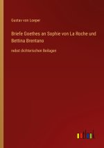 Briefe Goethes an Sophie von La Roche und Bettina Brentano
