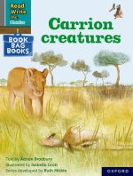 Read Write Inc. Phonics: Grey Set 7 Book Bag Book 10 Carrion creatures