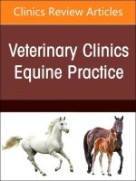 Equine Infectious Diseases, An Issue of Veterinary Clinics of North America: Equine Practice