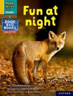 Read Write Inc. Phonics: Yellow Set 5 NF Book Bag Book 8 Fun at night
