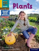 Read Write Inc. Phonics: Yellow Set 5 NF Book Bag Book 9 Plants