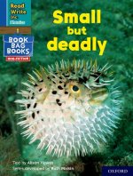 Read Write Inc. Phonics: Blue Set 6 NF Book Bag Book 8 Small but deadly