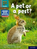 Read Write Inc. Phonics: Grey Set 7 NF Book Bag Book 4 A pet or a pest?